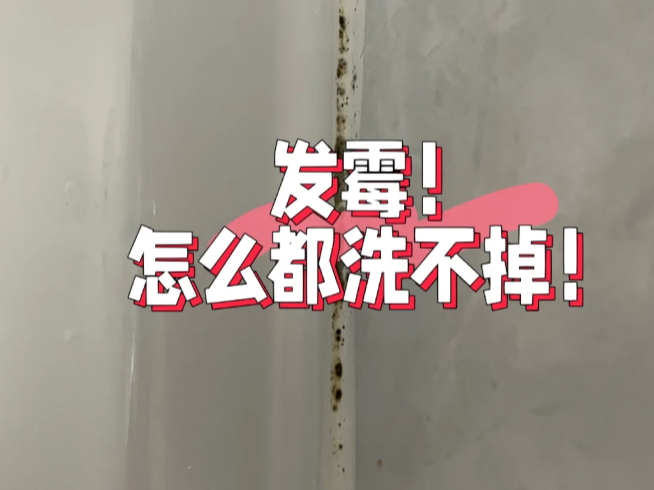 不怕潮、不發(fā)霉，這款美容膠太適合濕區(qū)了！